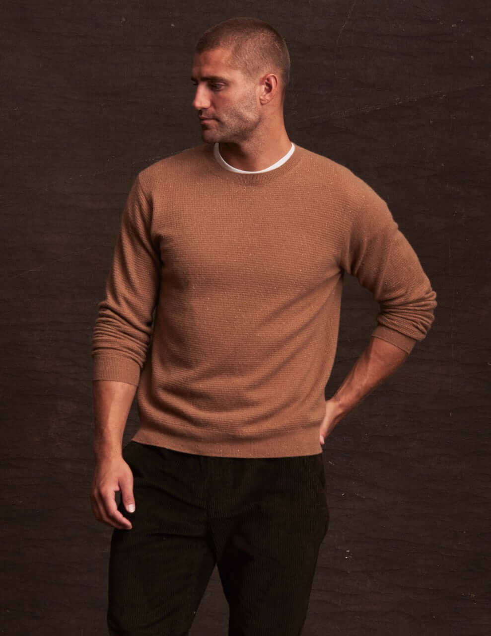 Cashmere Textured Crew in Camel Donegal - Image 3