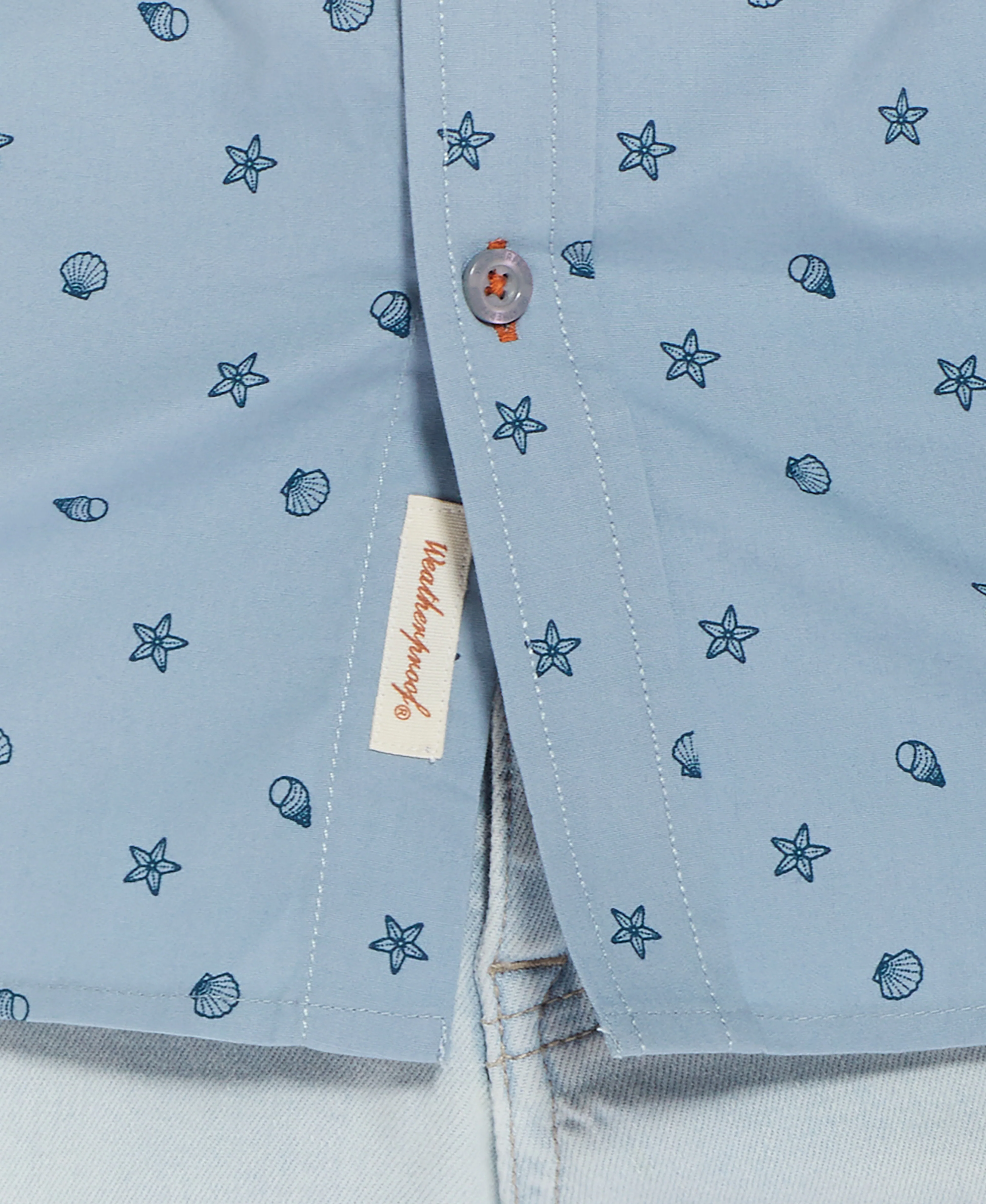 Poplin Seashell Printed Shirt In Dusty Blue - Image 2